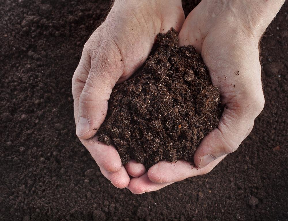 Soil & Potting Mix