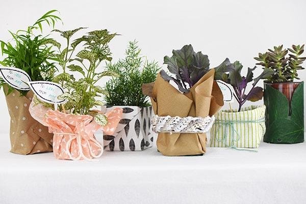Gift Sets